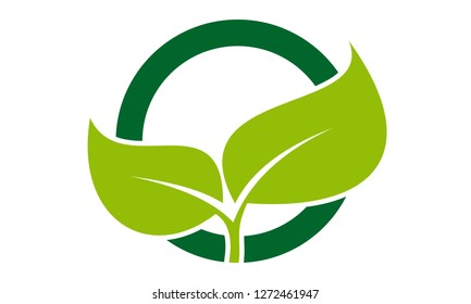 
Circle eco logo, green leafs of plant, organic creative icon, Eco icon green leaf vector illustration 