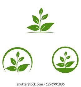 Circle eco logo, green leafs of plant, organic creative icon, Eco icon green leaf vector illustration 