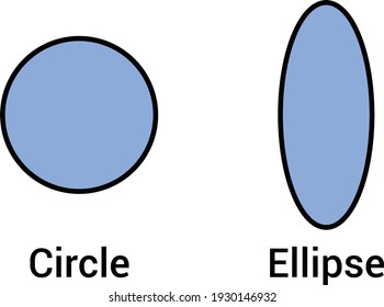circle and ellipse shape in math