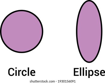 circle and ellipse shape in math