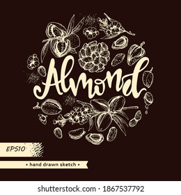 Círculo rellenó los granos de almendras de nueces y una rama de almendras con nueces, frutas, flores y almendras con letras.