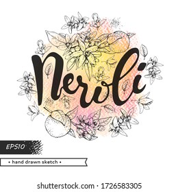 Circle filled bitter orange flowers, buds, fruits with lettering neroli. Detailed hand-drawn sketches, vector botanical illustration.