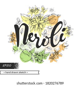 Circle filled bitter orange flowers, buds, fruits with lettering neroli. Detailed hand-drawn sketches, vector botanical illustration.
