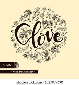 Ramas llenas de círculo de un árbol de clavel con hojas, brotes y flores y canto con letras. Esbozos detallados dibujados a mano, ilustración botánica vectorial.  Para el diseño de menú, etiqueta y empaquetado