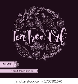Circle filled branches with leaves and flowers of tea tree . Detailed hand-drawn sketches, vector botanical illustration. 