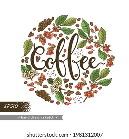 Circle filled with coffee tree branches and coffee lettering inside. Detailed hand-drawn sketch, vector botanical illustration.