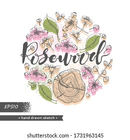 Círculo relleno de un palisandro y ramas con flores y capullos y rosewood con letras. Esbozos detallados dibujados a mano, ilustración botánica vectorial.  Para el menú, etiqueta, diseño de empaquetado.