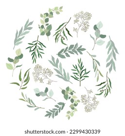 Circle filled Eucalyptus green leaves and branches. Detailed hand drawn colorful vector botanical illustration isolated on white background