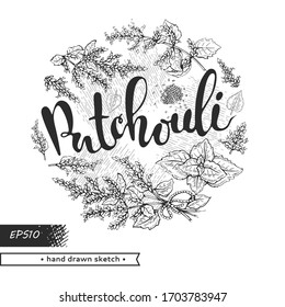 Círculo lleno de inflorescencias de patchoulis y flores con letras Patchouli. Dibujos detallados hechos a mano, ilustración botánica vectorial. 