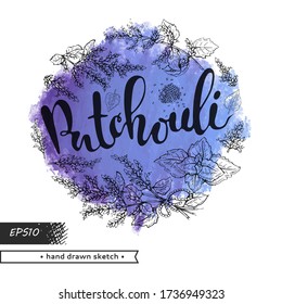 Circle filled Patchoulis inflorescences and flowers with lettering Patchouli. Detailed hand-drawn sketches, vector botanical illustration. 