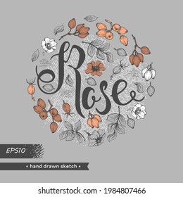 Circle filled Rosa canina and lettering Rose . Detailed hand-drawn sketches, vector botanical illustration.