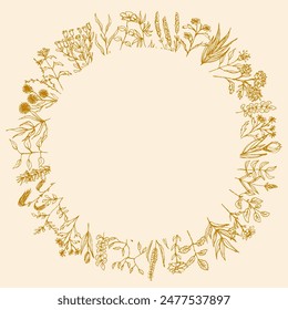 Blumen-beige Rahmen mit Kreis. Blatt-Festliche Musik-Karte mit leerem Platz. Blumenhintergrund, Universelle Vorlage. Blumenhandgezeichnete umrissene Zweige Zweige, Öko-Hintergrund. Erntefest, Kräuter sammeln.
