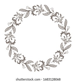 circle floral vintage draw frame vector illustration