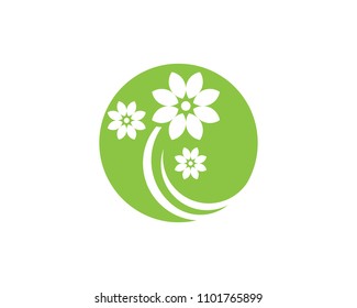 Circle flower icon Logo Template vector illustration design