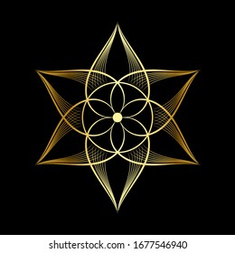 Circle flower of mandala with vintage floral style, Vector mandala Oriental pattern, Hand drawn decorative element. Unique design with petal flower. Concept relax and meditation use for page logo book