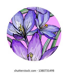 Circle with flowers crocuses.