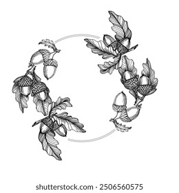 Marco de círculo con bellota. Borde de línea redonda dibujado a mano, hojas y flores, invitación de boda y tarjetas, diseño de logotipo y Plantilla de carteles. Elegante Vector floral de estilo minimalista aislado 
