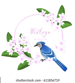 Circle frame with blue bird sitting on the branch of Plumeria tree with pink blooming flowers. Vector illustration isolated on white background.