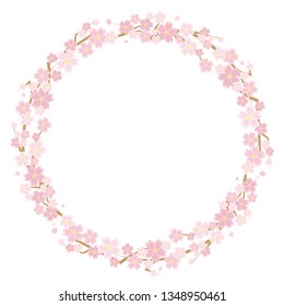 circle frame of the cherry blossoms  - background is white - 