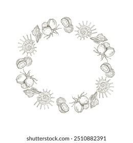 Circle frame with Coconuts and shells.  Hand drawn round line border, leaves and flowers, wedding invitation and cards, logo design and posters template. Elegant minimal style floral vector isolated 