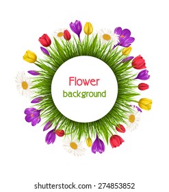 Circle frame with green grass and flowers isolated on white background