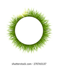 Circle frame with green grass and sunlight. Floral nature background