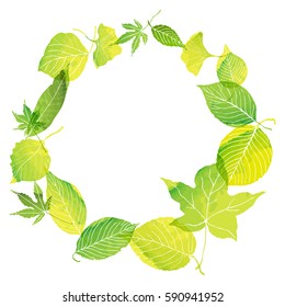 circle frame of green leaves by watercolor paint
