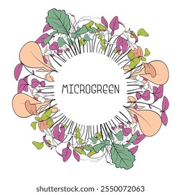 Circle frame of hand drawn micro greens botany. Vector illustration of Basil, peas, mustard, beet, broccoli, amaranth sporous leaves.