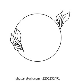 Circle frame with leaves. Doodle minimal style. Nature and organic decoration.