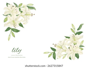 
Circle frame material of white lilies painted in watercolor