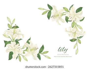 
Circle frame material of white lilies painted in watercolor