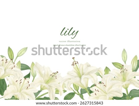 
Circle frame material of white lilies painted in watercolor