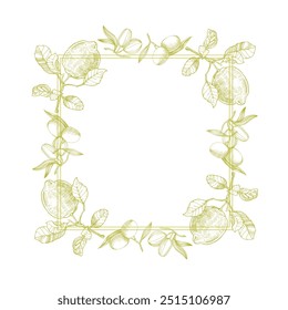 Kreisrahmen mit Oliven und Zitronen. Handgezeichneter runder Rahmen, Blätter und Blumen, Hochzeitseinladungen und Karten, Logo-Design und Plakatvorlage. Eleganter minimaler Stil, floraler Vektor einzeln 