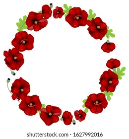 
circle frame of red poppies on a white background