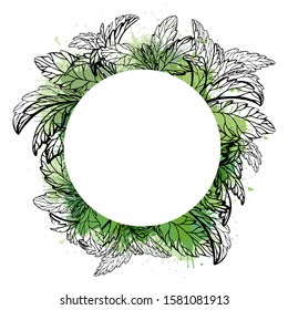 Circle frame with sketch of plants with watercolor splashes. Vector template for labels. Mint, stevia and basil. Outline medicine herbal drawing. Useful traditional medicine. Vector round template 