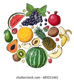 Circle of fruit. Fresh food. Pineapple, avocado, papaya, apricot, mango, grape, Watermelon, cantaloupe, pomegranate, apricot, persimmon line drawn on a white background. Vector illustration.