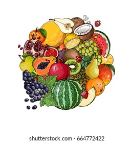 A circle of fruits. Fresh food. Watermelon, cantaloupe, pomegranate, apricot, persimmon line drawn on a white background. Vector illustration.