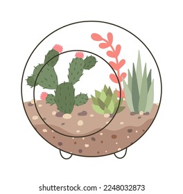 Circle glass terrarium with cactus plants flat icon Decor element. Vector illustration