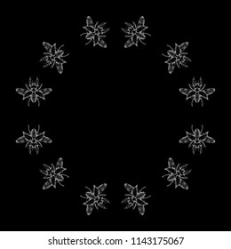 Circle of gray stag beetles on the black background. Nice and beautiful hand-drawn vector illustration
