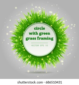 Circle with green grass framing
