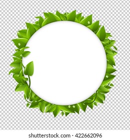 Circle With Green Leafs, Isolated on Transparent Background, Vector Illustration