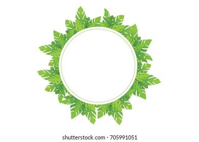 Circle Green Leaves Frame, Tropical Background Vector Illustration