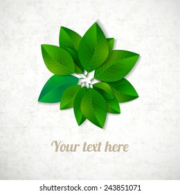 Circle of green leaves isolated on white paper background. Vector illustration. 