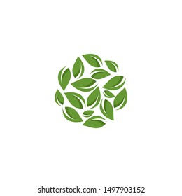 circle of green leaves logo. green leaf eco logo template - vector