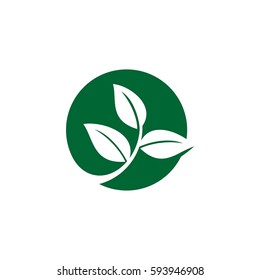Circle Green Leaves Logo Template Illustration Design. Vector EPS 10.