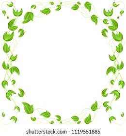 circle of green leaves on a branch, border, isolated on white background.frame for postcard