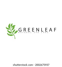 diseño del logotipo de la hoja verde circular. letra de logotipo de árbol c diseño de ilustración vectorial