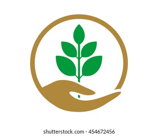 circle hand green leaf image vector icon