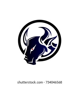Circle Head bull