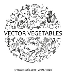 circle of icons vegetables on a white background